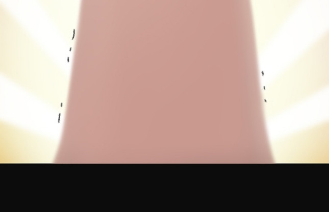 15653225507704.jpg