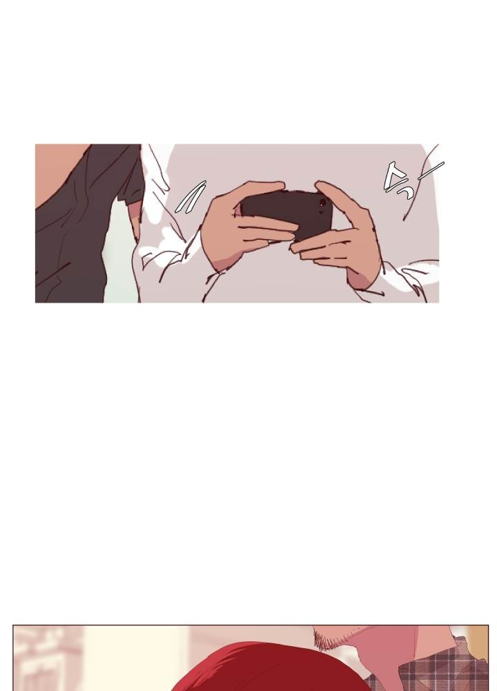 15653226115461.jpg