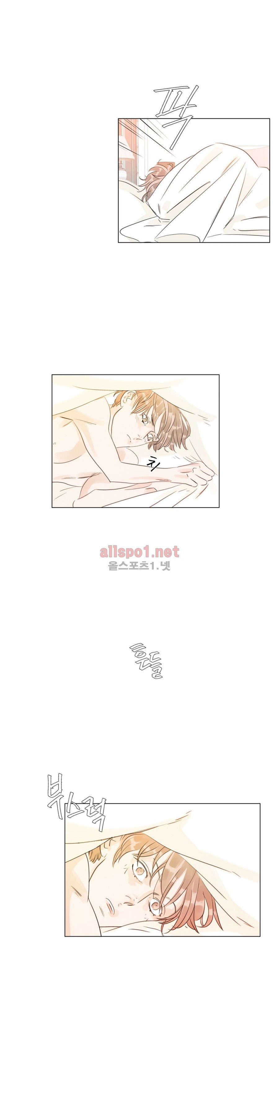15653229085479.jpg