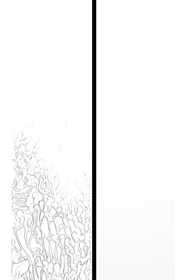 15653253843072.jpg