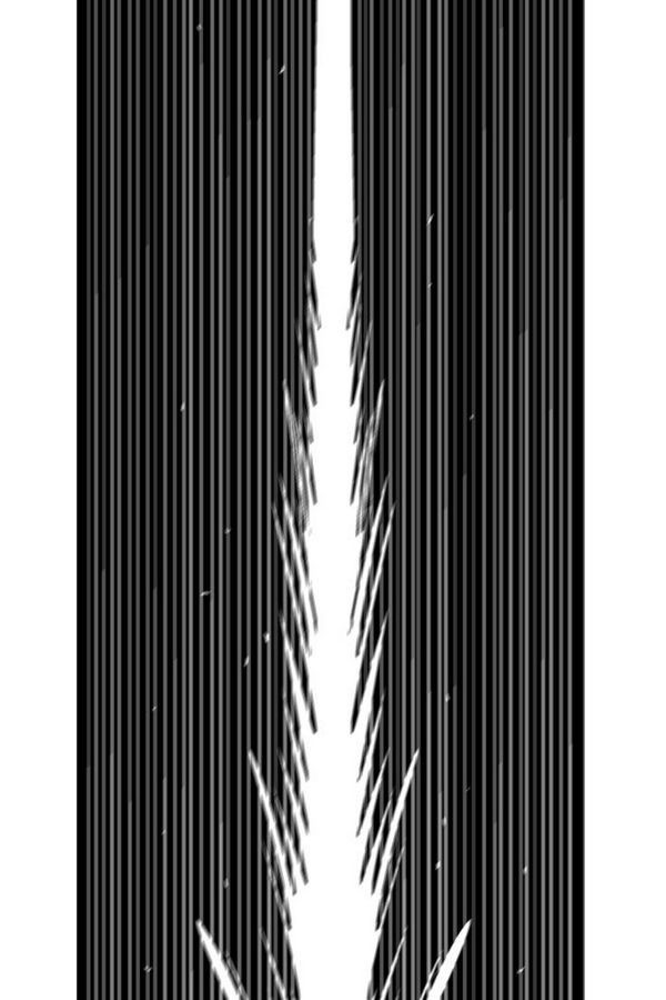 15653267350199.jpg