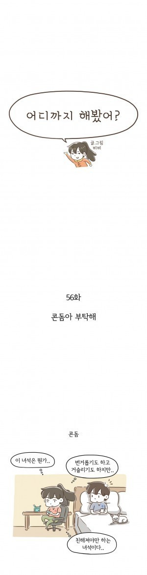 1565331160373.jpg