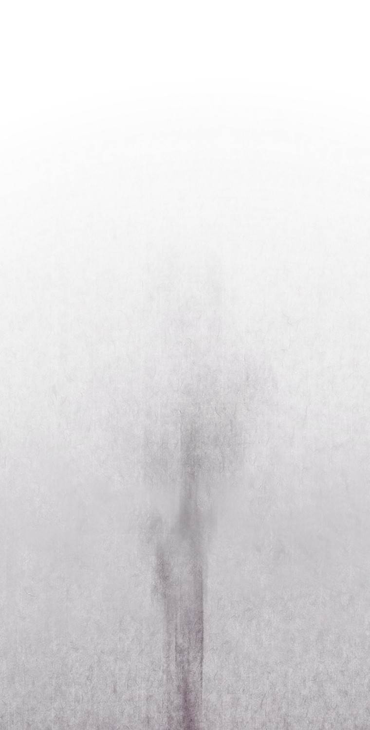 1565339312.jpg