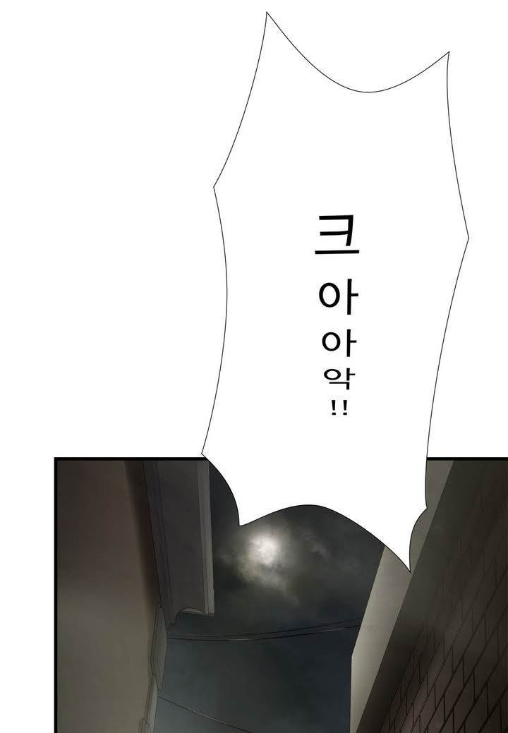 15653412681093.jpg