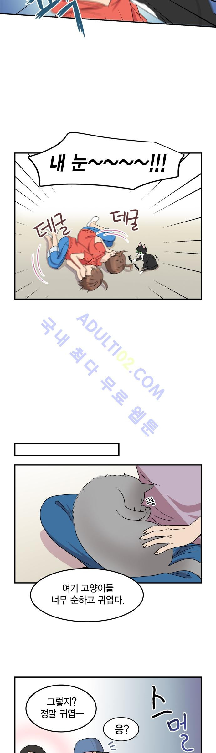 15653423969169.jpg