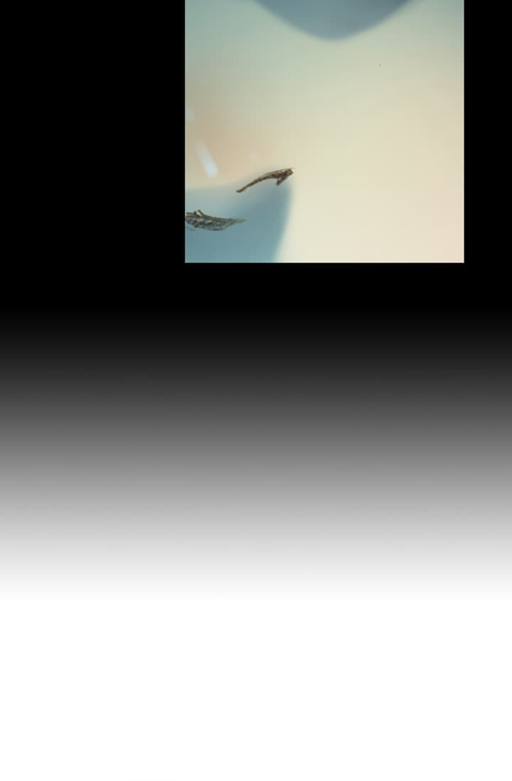 15653555888634.jpg