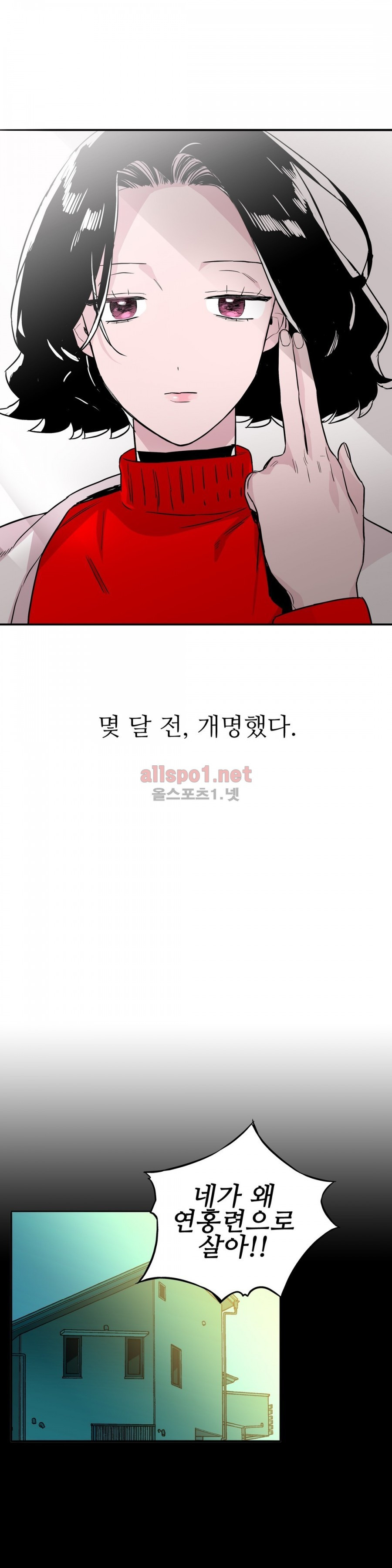 15653594422232.jpg