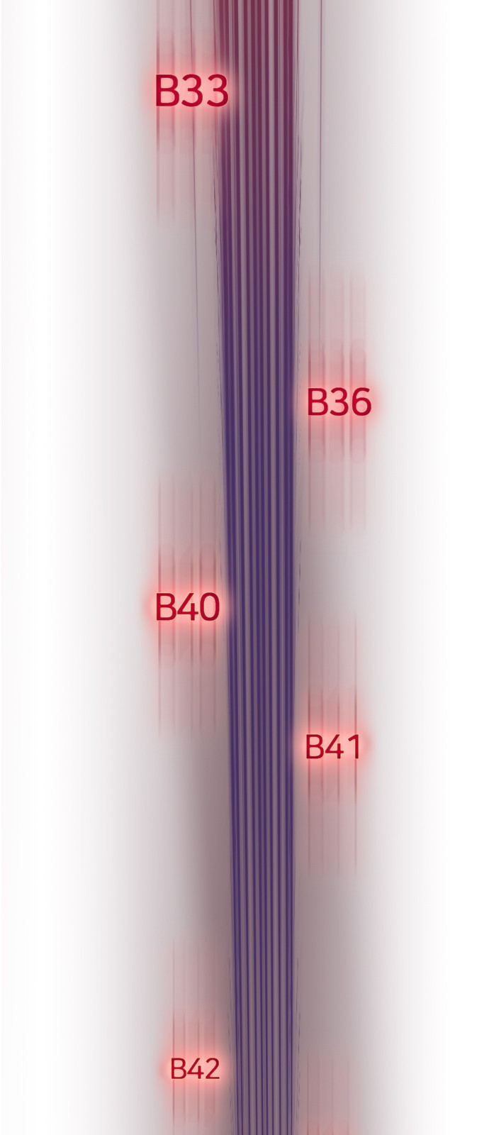 15653856611012.jpg