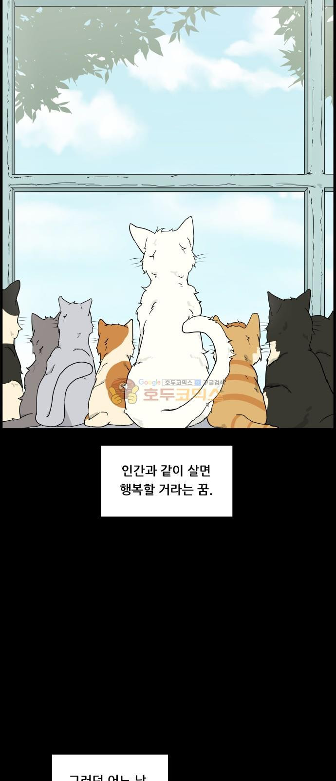 15653874450722.jpg
