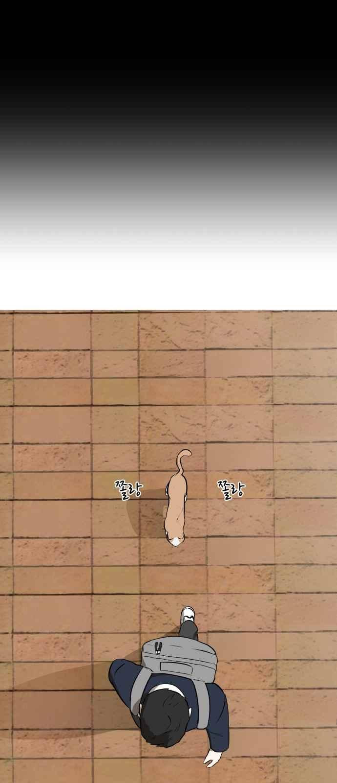 1565388795413.jpeg