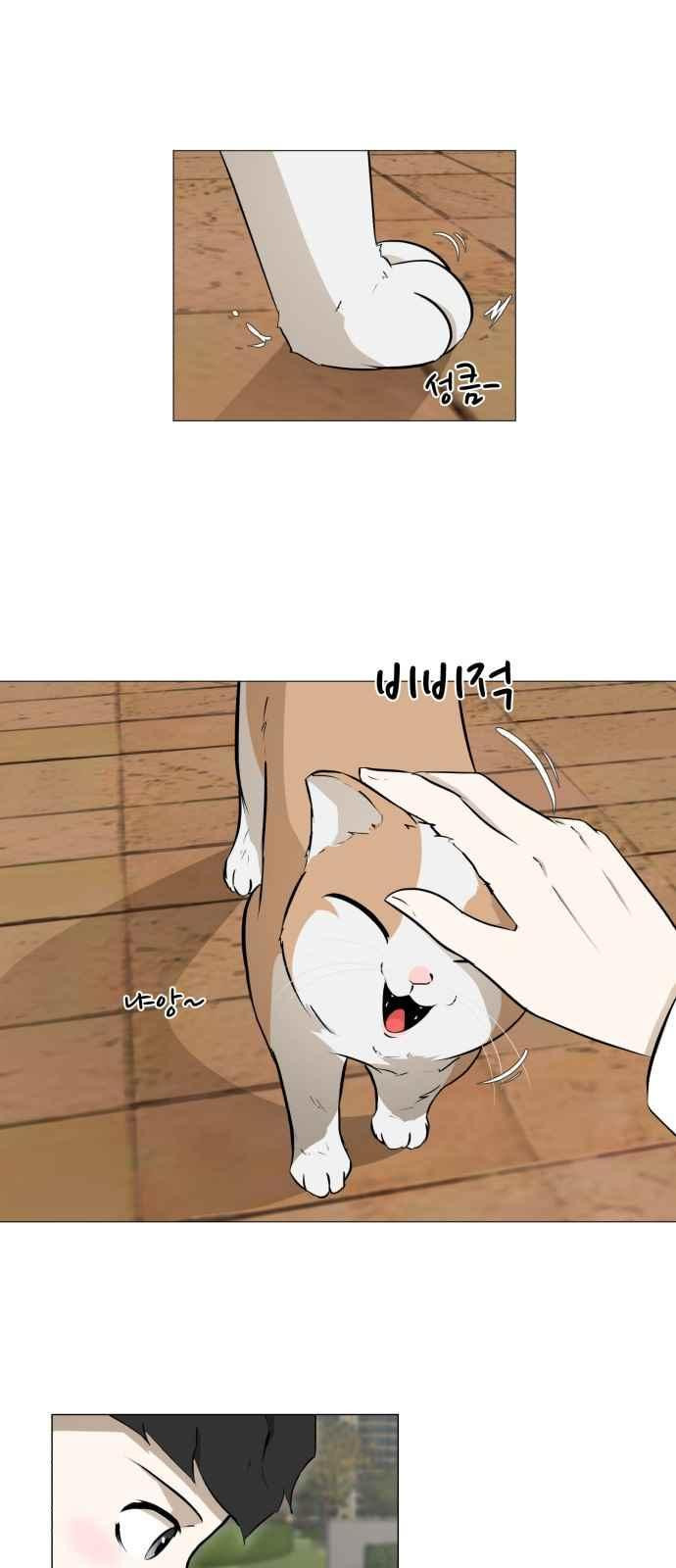 15653887961919.jpeg