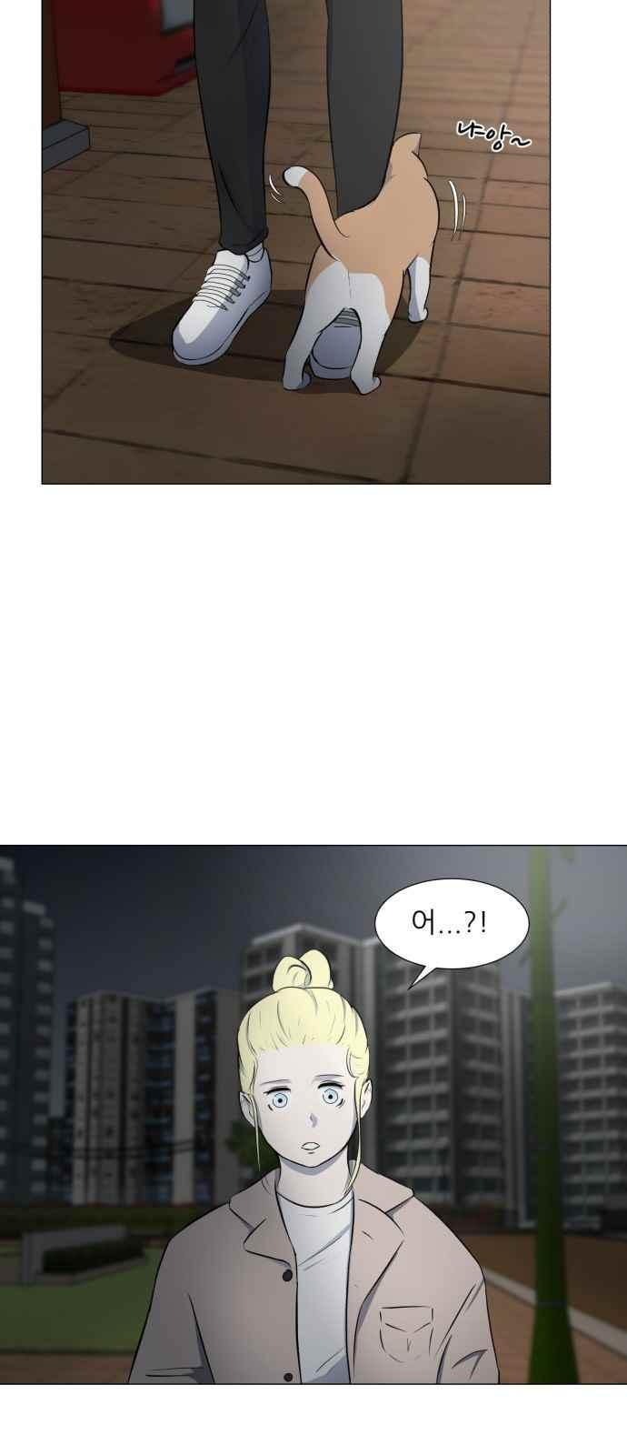 15653888753599.jpeg
