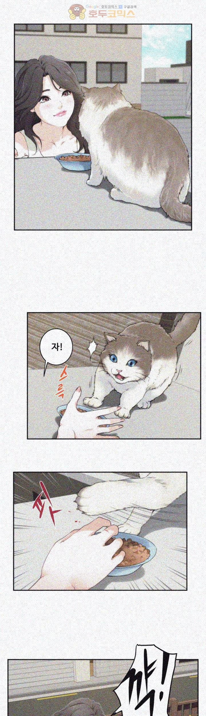 15653947245518.jpg