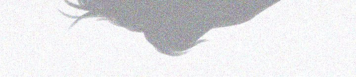 15653947358735.jpg