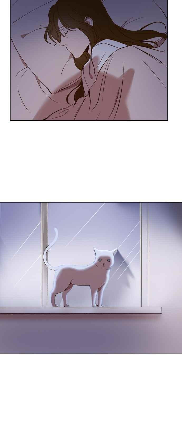15653949136914.jpeg