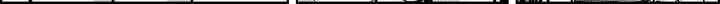 1565401661785.jpg
