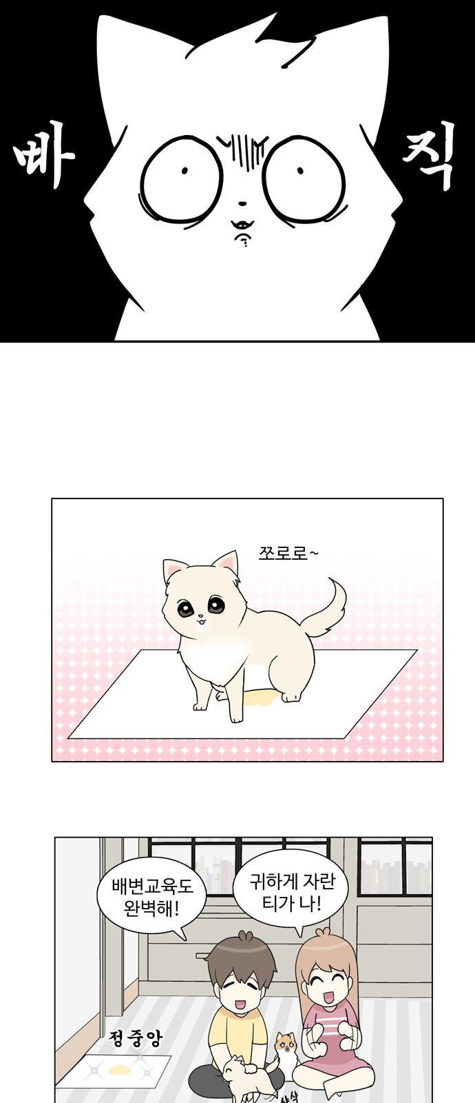 15654018473024.jpeg
