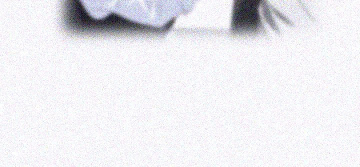 15654197123884.jpg