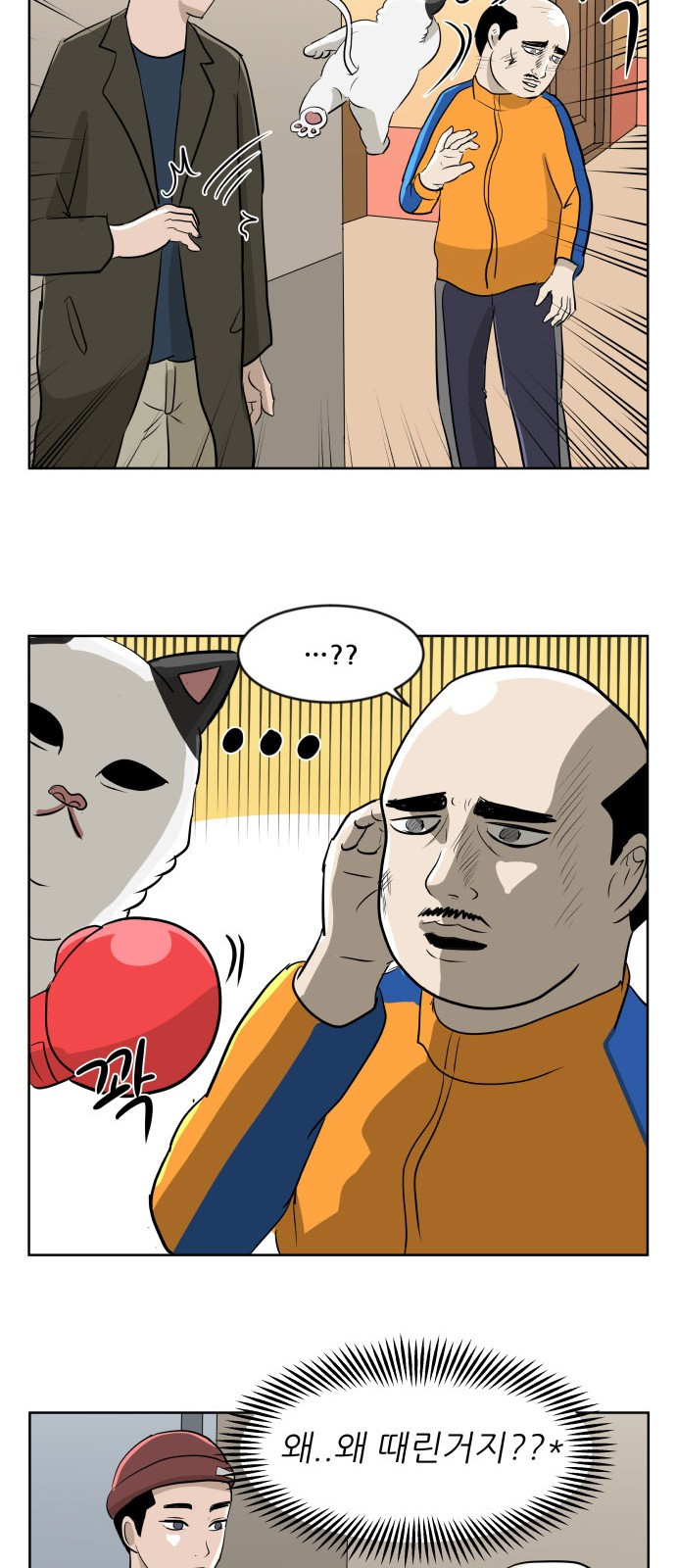 15654204080113.jpg