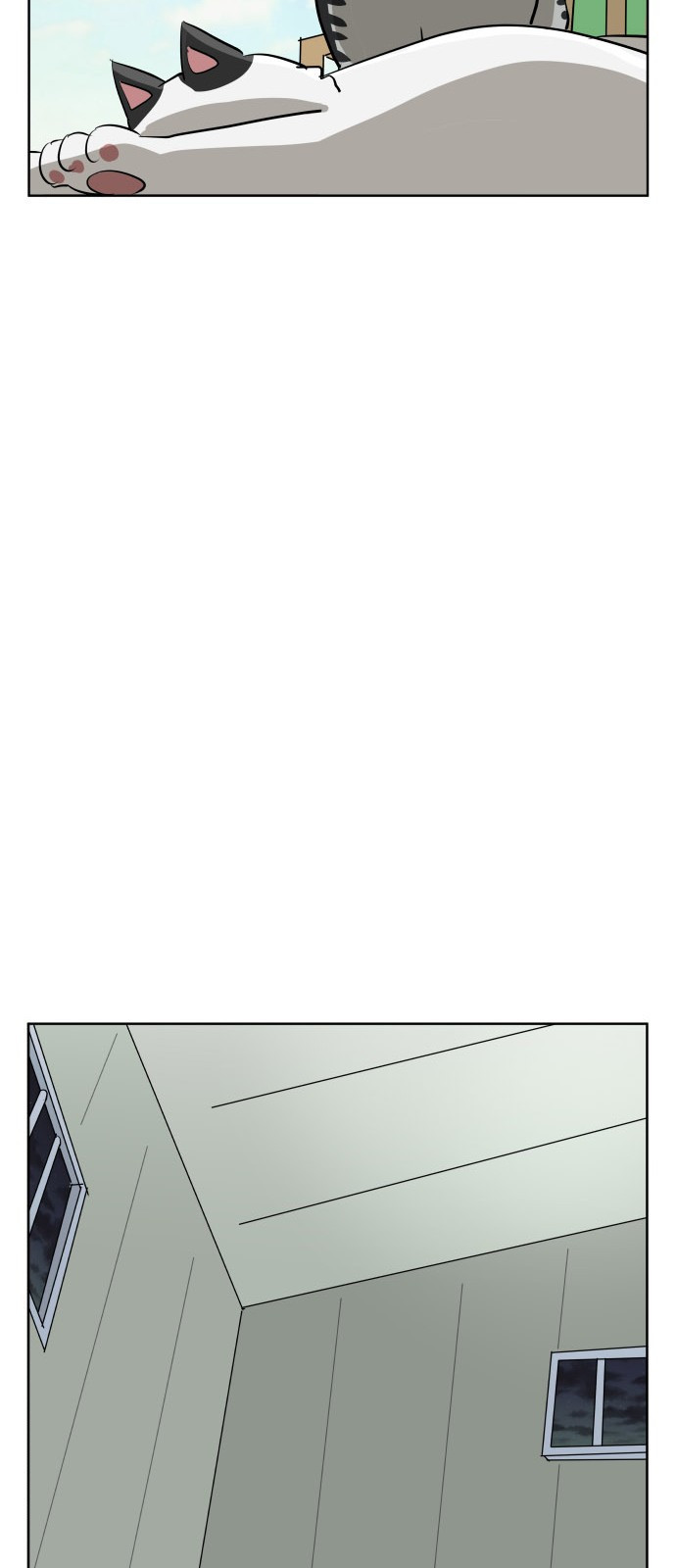 15654207175643.jpg