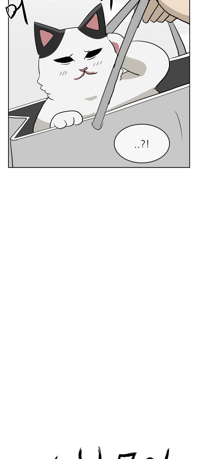 15654207654155.jpg