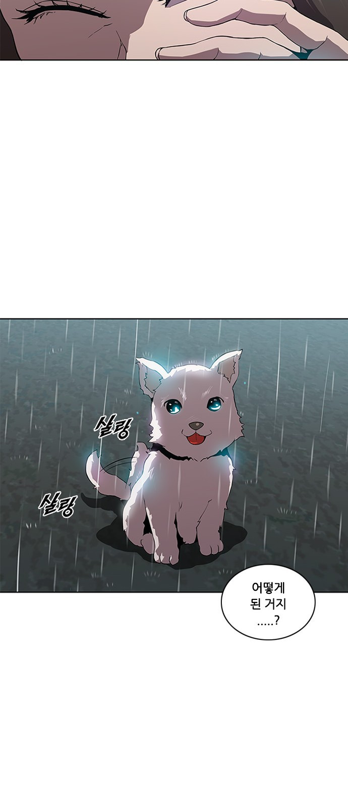 15662413833342.jpeg