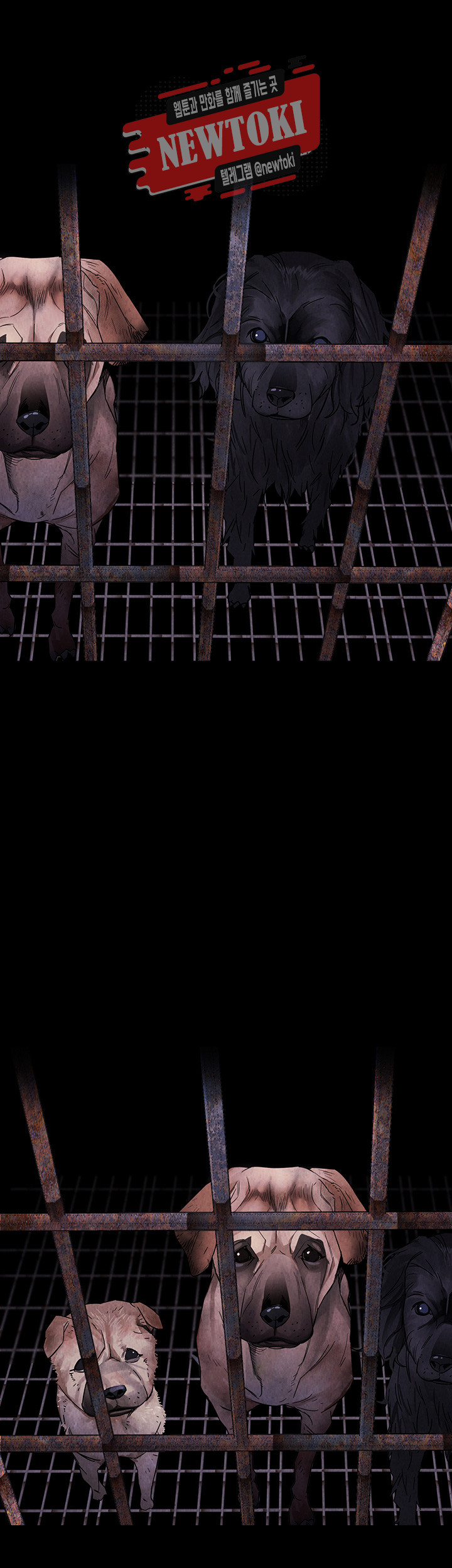 15687046392731.jpg