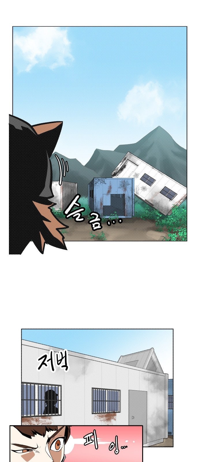 15725667296669.jpeg