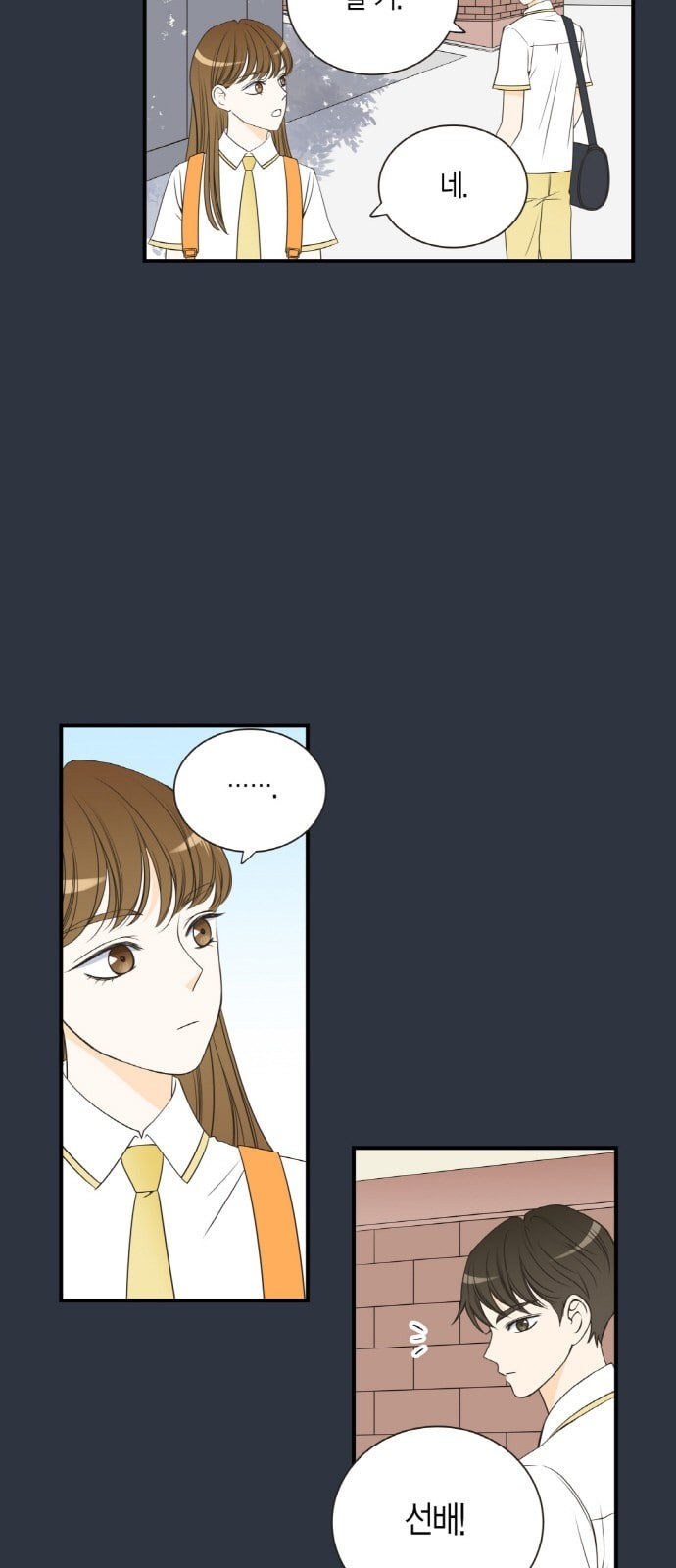 15726012497897.jpeg