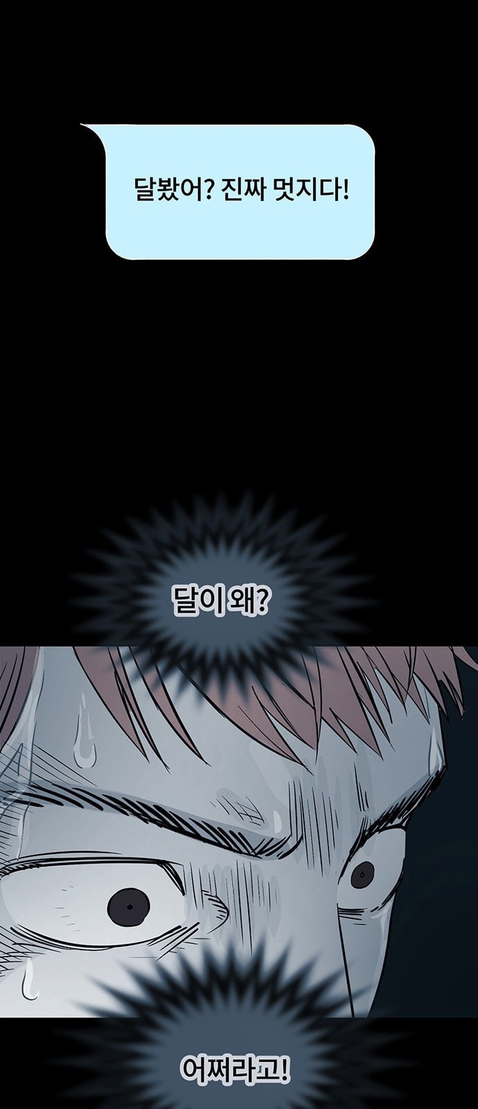 15784882602088.jpeg