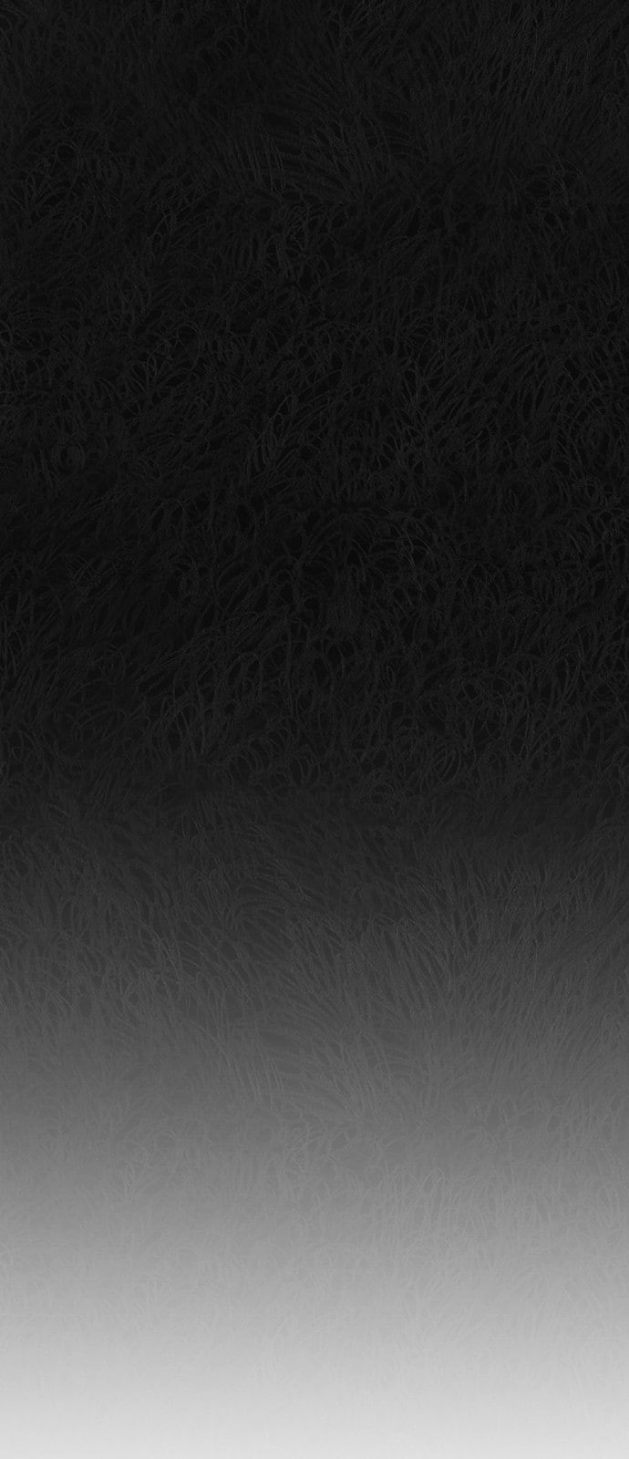 15784899437376.jpeg