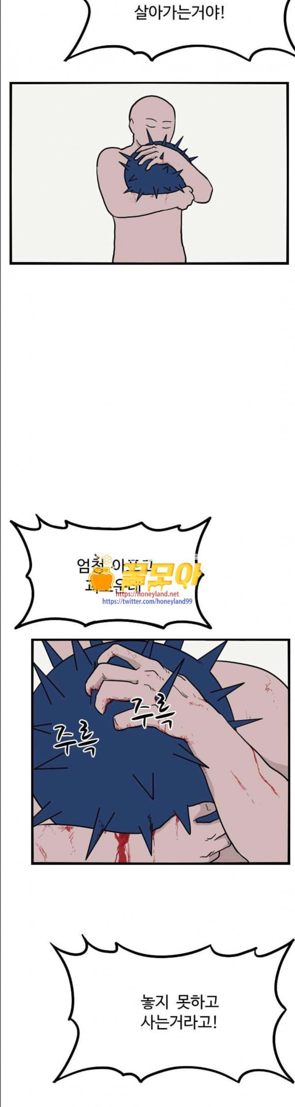 15797964985798.jpeg