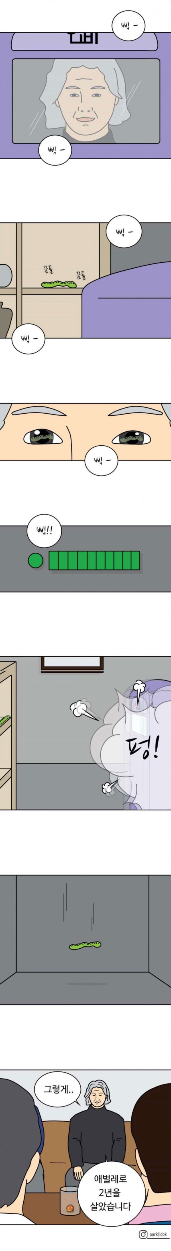 15798478313858.jpeg