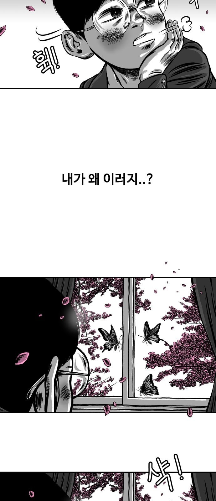 15804556725869.jpeg