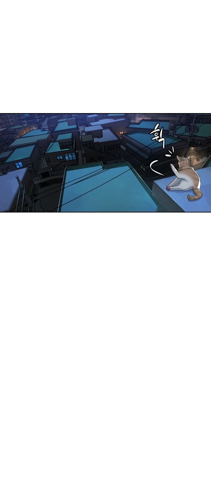 15805518329693.jpeg