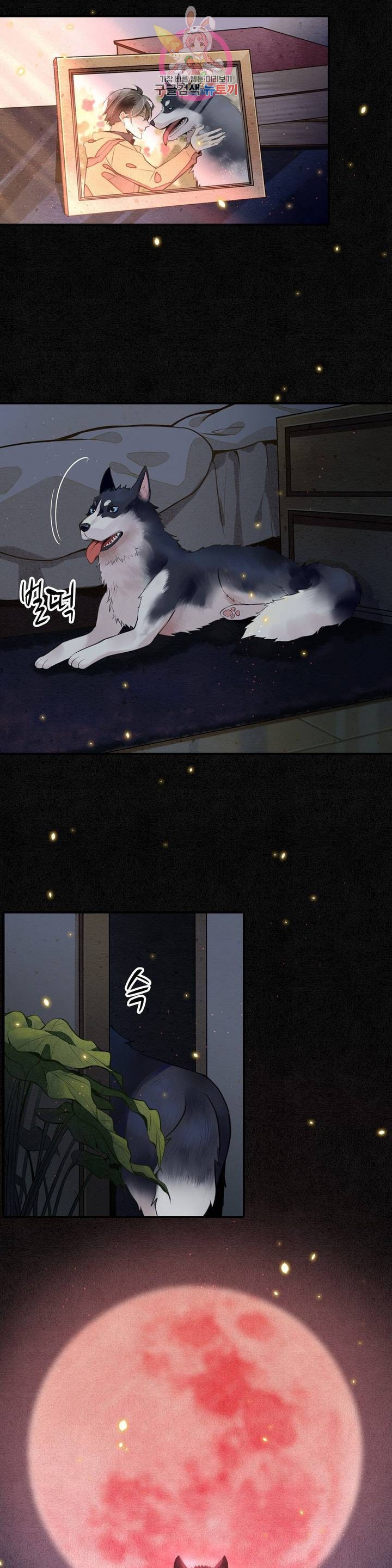 15840453666677.jpeg