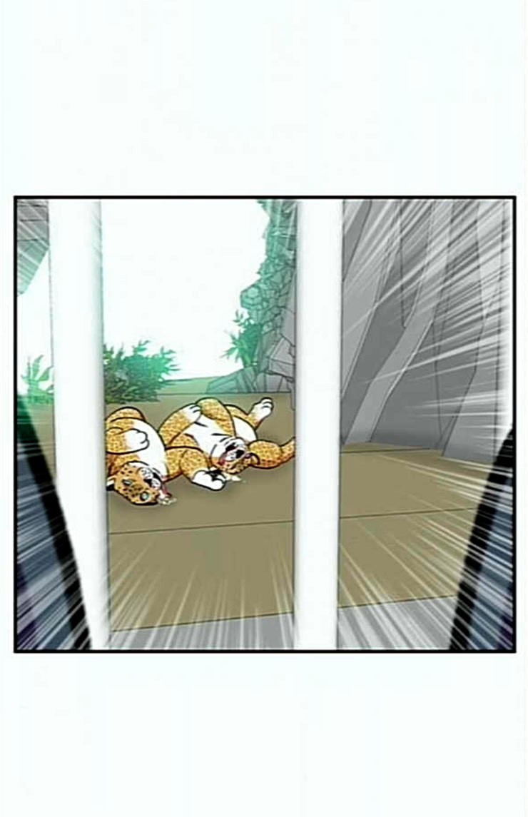 1585160916215.jpeg