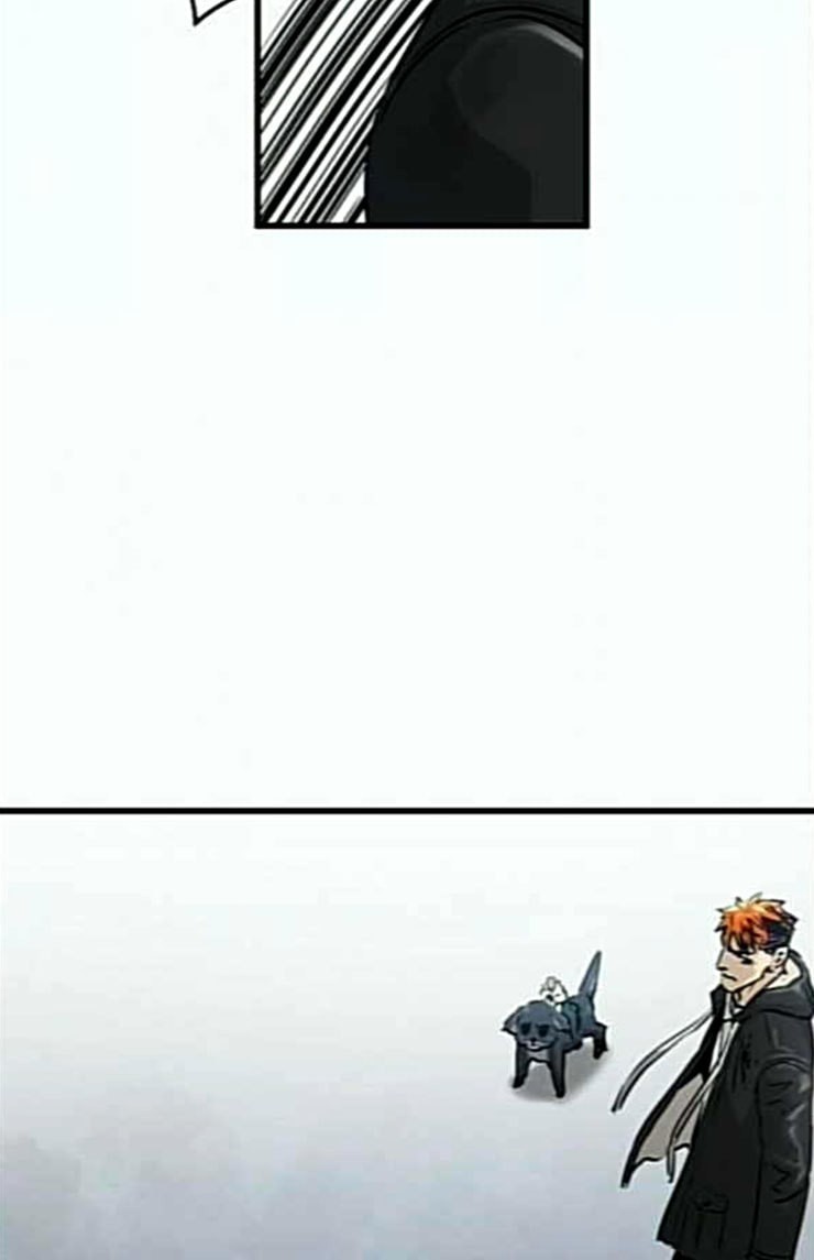 158524140075.jpeg