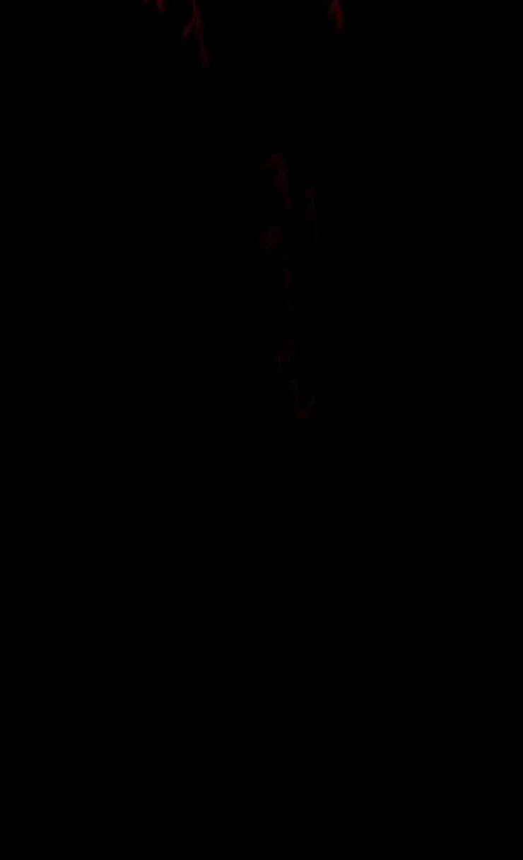 15853251886768.jpeg