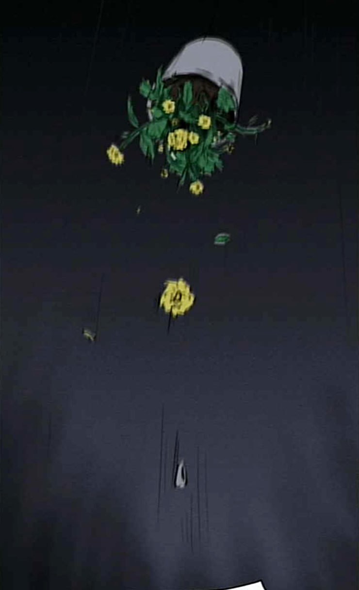 15853251936297.jpeg