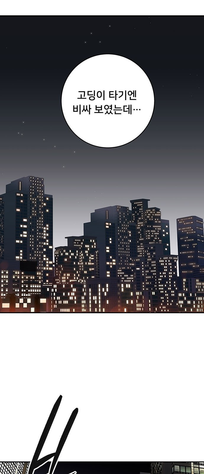 15863246073001.jpeg