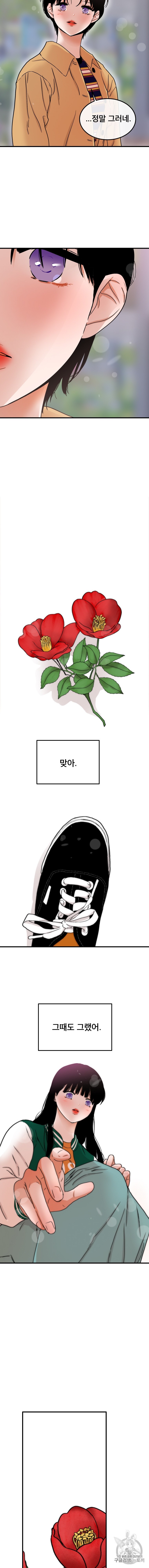 15917096516728.jpeg