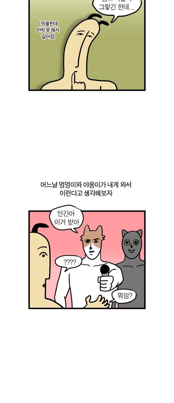 15924187953654.jpeg