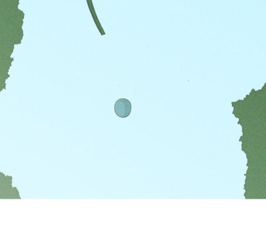 15996736230174.jpg