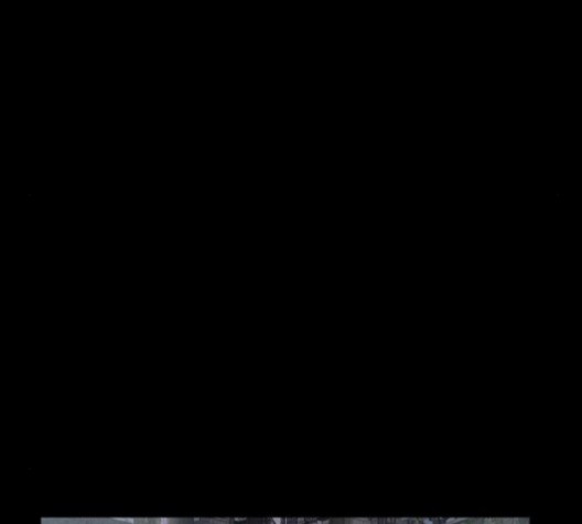 15997657752029.jpg