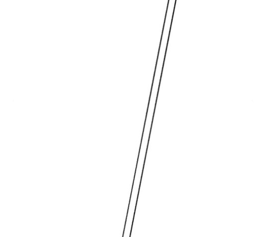 15998522538618.jpg