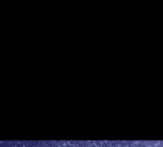15999888616396.jpg