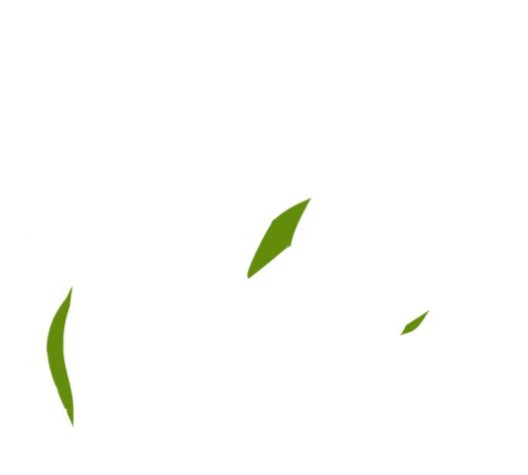 15999889946546.jpg