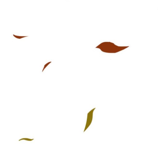 15999889951355.jpg