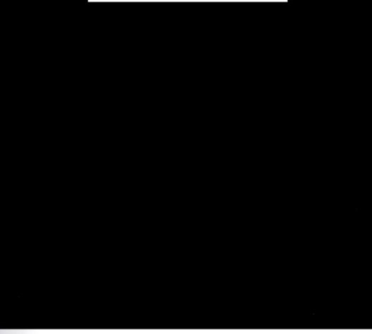 15999899309555.jpg